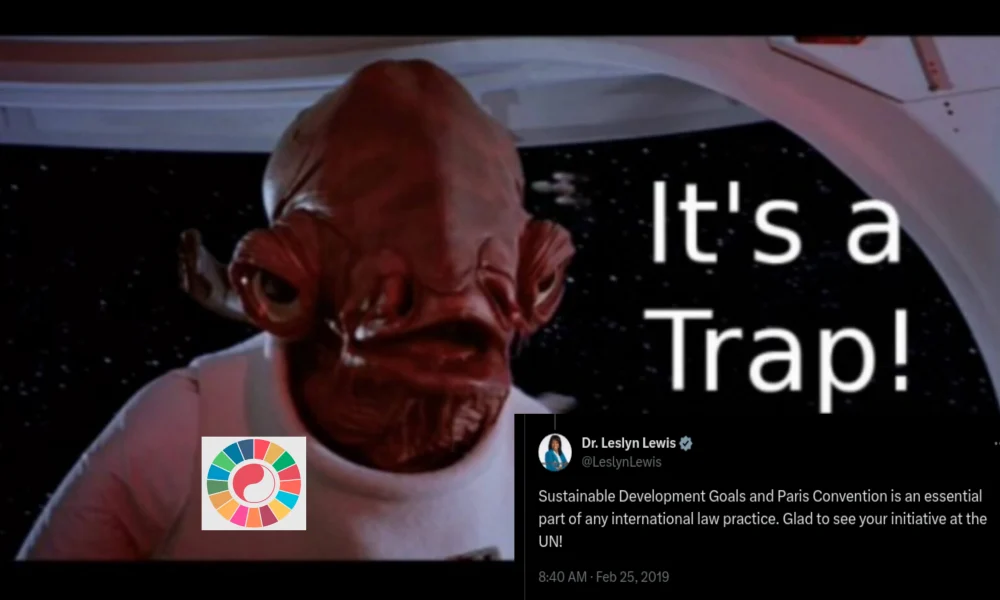 Agenda 2030 and the Sustainable Development Goals